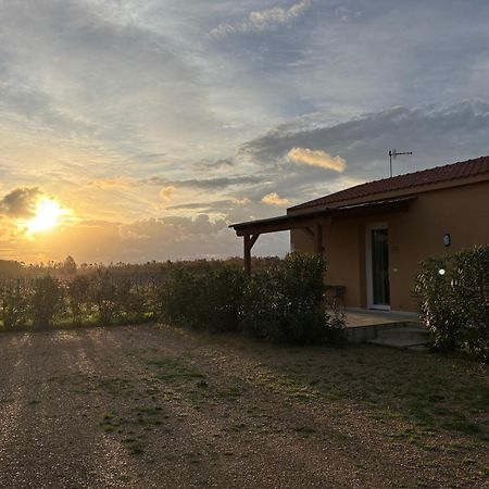 Maris Suite - Appartamento Con Vasca Idromassaggio Alguer Exterior foto