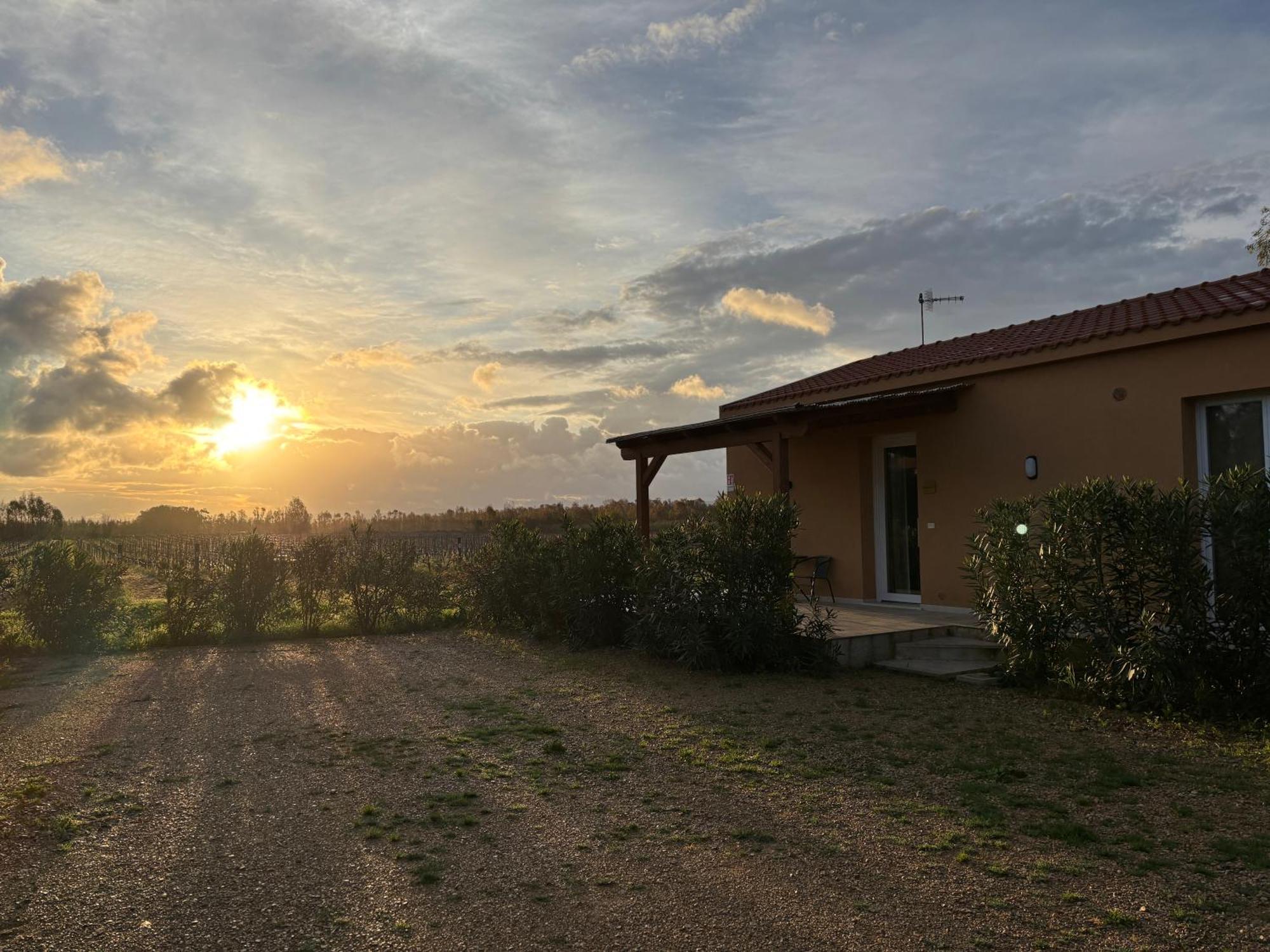Maris Suite - Appartamento Con Vasca Idromassaggio Alguer Exterior foto
